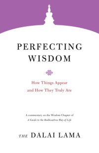 cover of the book Perfecting Wisdom