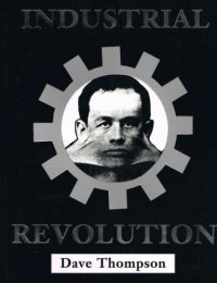 cover of the book The Industrial Revolution