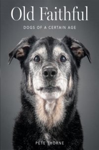 cover of the book Old faithful: dogs of a certain age