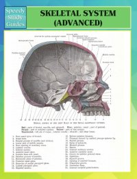 cover of the book Skeletal System (Advanced)