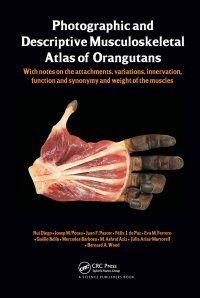 cover of the book Photographic and Descriptive Musculoskeletal Atlas of Orangutans: with notes on the attachments, variations, innervations, function and synonymy and weight of the muscles