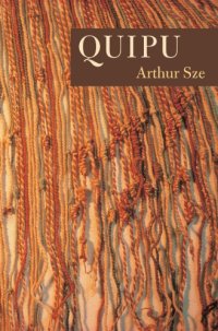 cover of the book Quipu