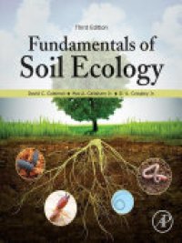 cover of the book Fundamentals of Soil Ecology