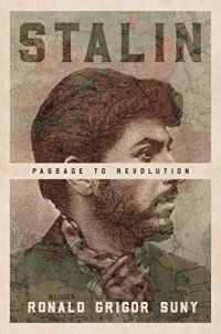 cover of the book Stalin: Passage to Revolution