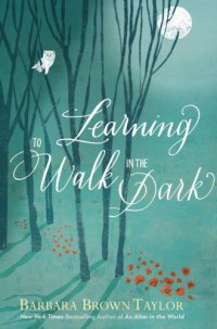 cover of the book Learning to walk in the dark: because sometimes God shows up at night