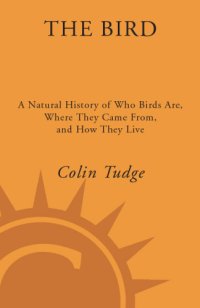 cover of the book The bird: a natural history of who birds are, where they came from, and how they live