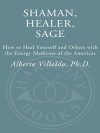 cover of the book Shaman Healer Sage – How to Heal Yourself and Others with the Energy Medicine of the Americas