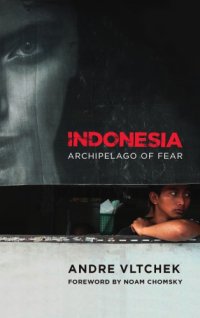 cover of the book Indonesia: archipelago of fear