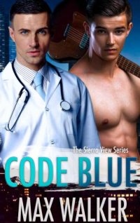 cover of the book Code Silver