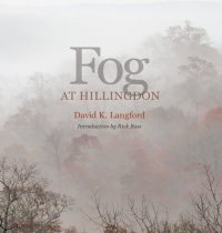 cover of the book Fog at Hillingdon