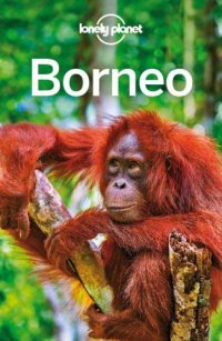 cover of the book Lonely Planet Borneo