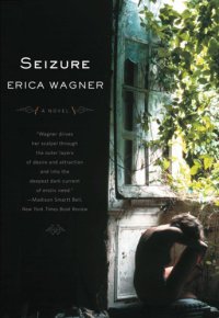 cover of the book Seizure