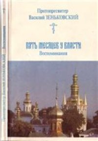 cover of the book Пять месяцев у власти.