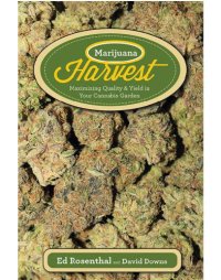 cover of the book Marijuana Harvest: How to Maximize Quality and Yield in Your Cannabis Garden