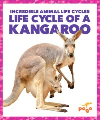 cover of the book Life cycle of a kanagroo