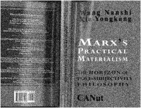 cover of the book Marx's Practical Materialism: The Horizon of Post-Subjectivity Philosophy