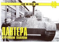 cover of the book Пантера крупным планом