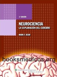 cover of the book Neurociencia : la exploración del cerebro