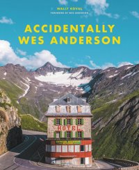 cover of the book Accidentally Wes Anderson