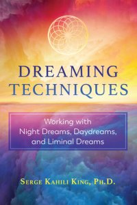 cover of the book Dreaming Techniques