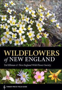 cover of the book Wildflowers of New England: Timber Press Field Guide (A Timber Press Field Guide)