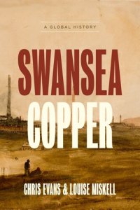 cover of the book Swansea Copper