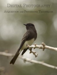 cover of the book Digital Photography: Acquisition and Processing Techniques