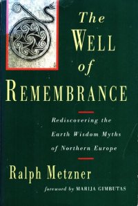 cover of the book The Well of Remembrance: Rediscovering the Earth Wisdom Myths of Northern Europe