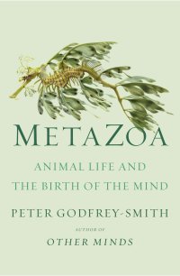 cover of the book Metazoa: Animal Life and the Birth of the Mind