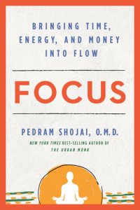 cover of the book Focus: Bringing Time, Energy, and Money into Flow