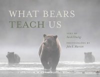 cover of the book What Bears Teach Us