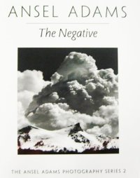 cover of the book The Negative 