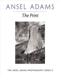 cover of the book The Print 