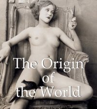 cover of the book The Origin of the World