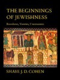 cover of the book The beginnings of Jewishness: boundaries, varieties, uncertainties