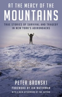 cover of the book At the Mercy of the Mountains