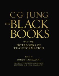 cover of the book The Black Books: 1913-1932, Notebooks of Transformation (Slipcased Edition) (Volume Seven-Volume Set)