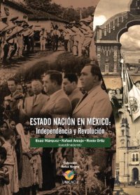 cover of the book Estado-nación en México: independencia y revolución