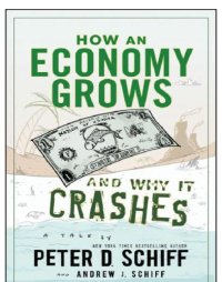 cover of the book How an economy grows and why it crashes