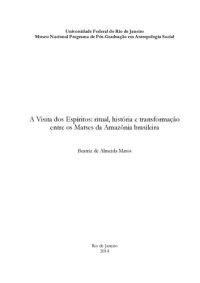 cover of the book A Visita dos Espíritos: ritual, história e transformação entre os Matses (Pano) da Amazônia brasileira