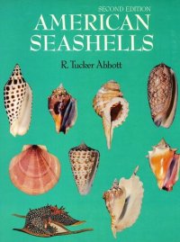 cover of the book American Seashells