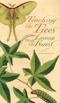 cover of the book Teaching the Trees: Lessons from the Forest