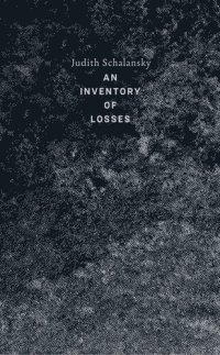 cover of the book An Inventory of Losses