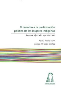 cover of the book El Derecho A La Participacion Politica De Las Mujeres Indigenas