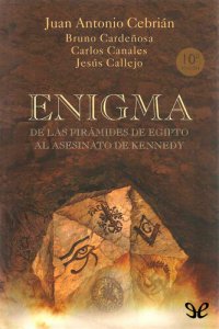 cover of the book Enigma