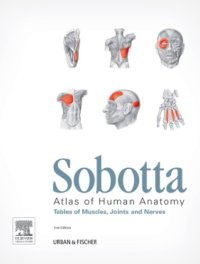 cover of the book Sobotta Atlas of human anatomy. Tables of muscles, joints, and nerves