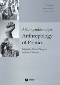 cover of the book A companion to the anthropology of politics