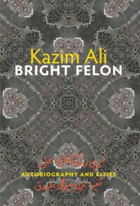 cover of the book Bright Felon: Autobiography and Cities