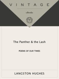 cover of the book The panther & the lash: poems of our times