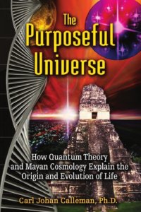 cover of the book The purposeful universe: how quantum theory and Mayan cosmology explain the origin and evolution of life